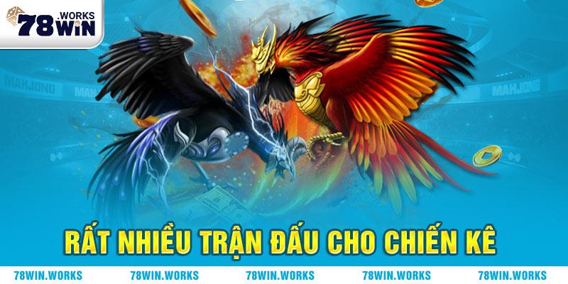 Đá gà 78WIN - Kèo cá cược đa dạng trả thưởng hấp dẫn
