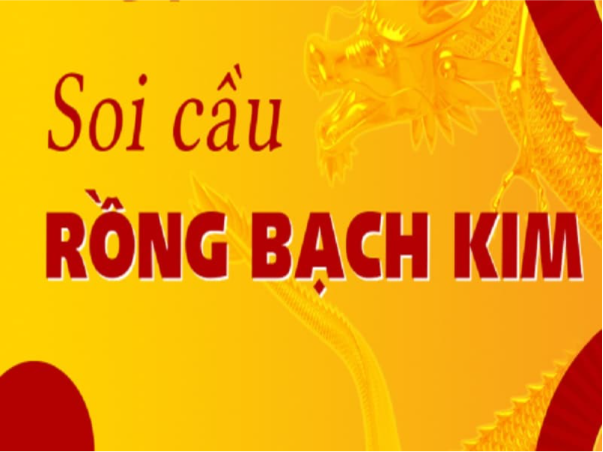 Hiểu Về Rồng Bạch Kim Và Chức Năng Của Nó