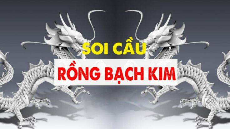 Cách Áp Dụng Rồng Bạch Kim 555 Tại Soicau247 Trong Việc Chơi Lô Đề