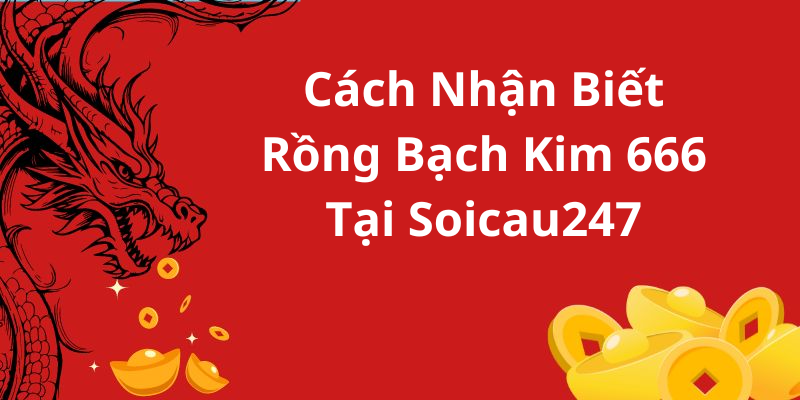 Cách Nhận Biết Rồng Bạch Kim 666 Tại Soicau247