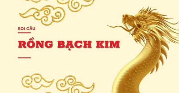 Tìm Hiểu Về Soi Cầu Rồng Bạch Kim 888