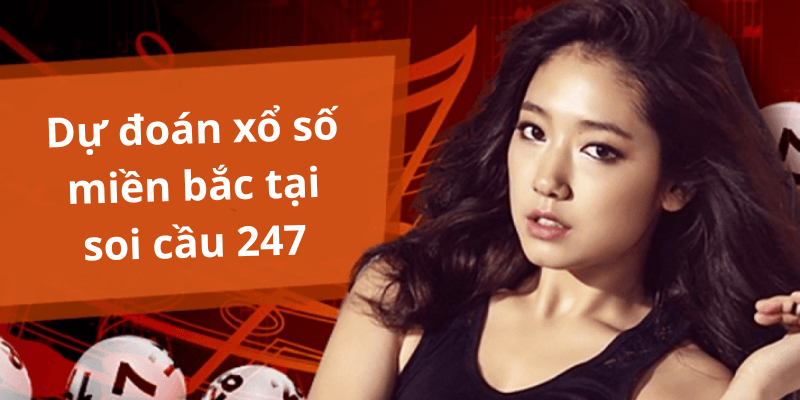Soi Cầu 247 - Nguồn Thông Tin Hữu Ích